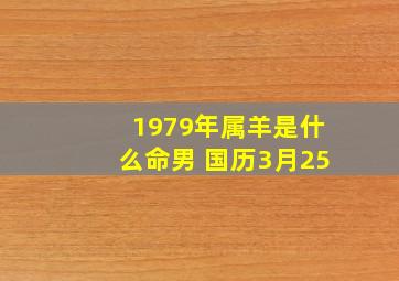 1979年属羊是什么命男 国历3月25